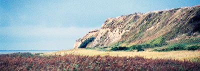 Dunes, sea and an endless sight.